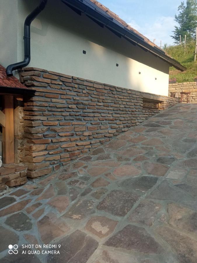 Zavojsko Jezero - Vila Jezero Pirot Bagian luar foto