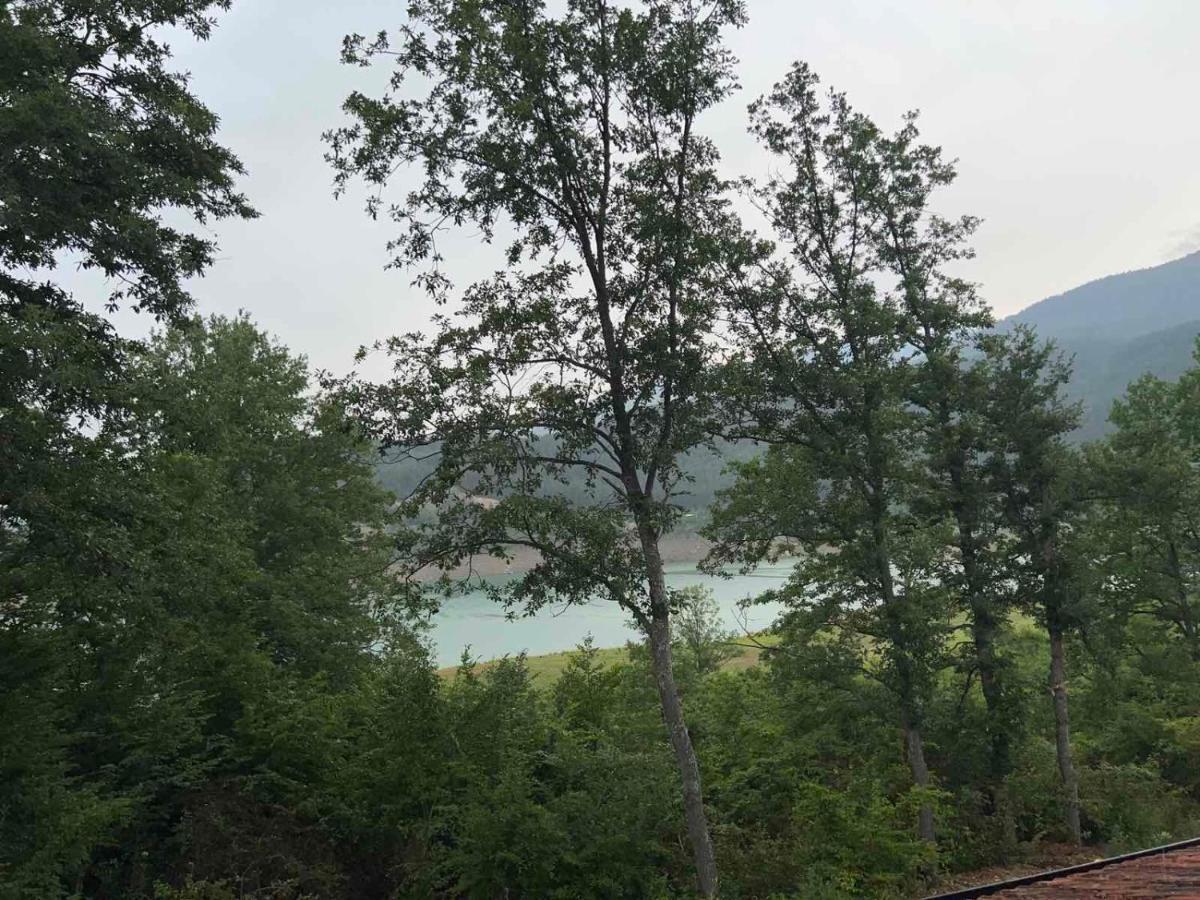 Zavojsko Jezero - Vila Jezero Pirot Bagian luar foto