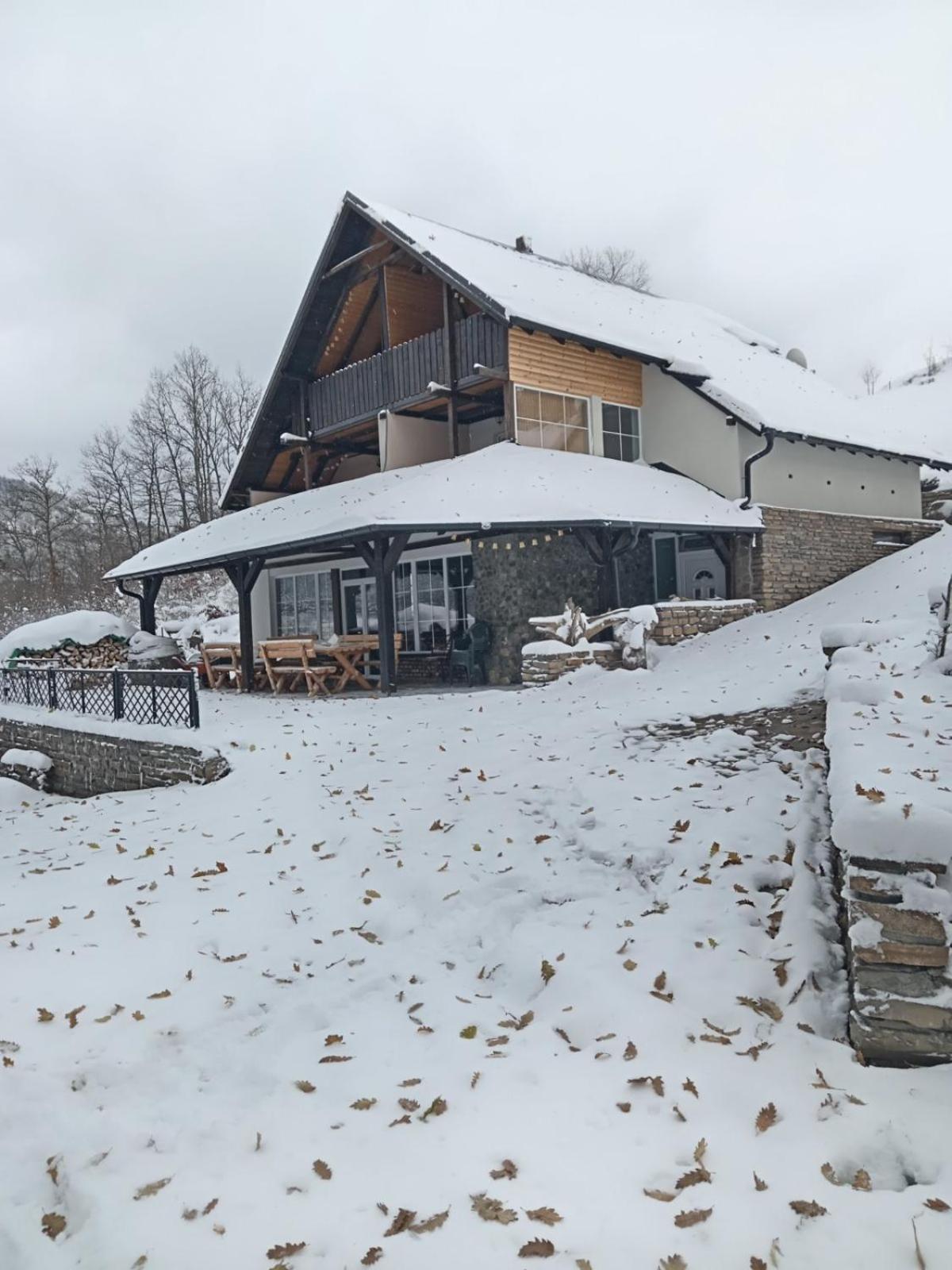 Zavojsko Jezero - Vila Jezero Pirot Bagian luar foto